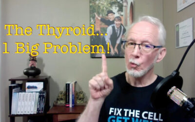 Thyroid: 1 Big Problem, 2 Reasons Why, & 3 To-Do Tips